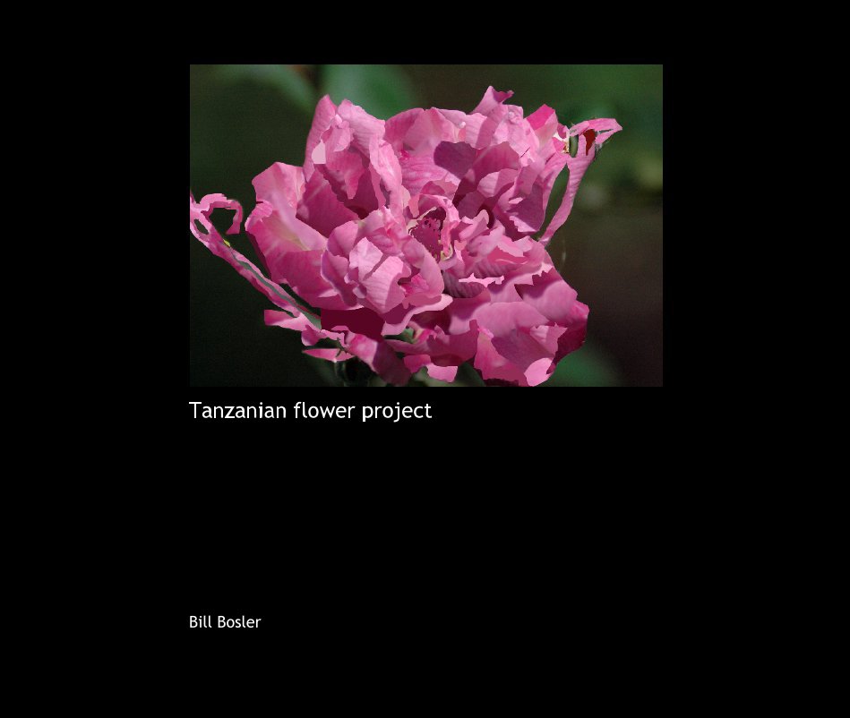 Bekijk Tanzanian flower project op Bill Bosler