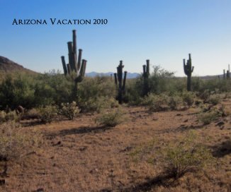 Arizona Vacation 2010 book cover