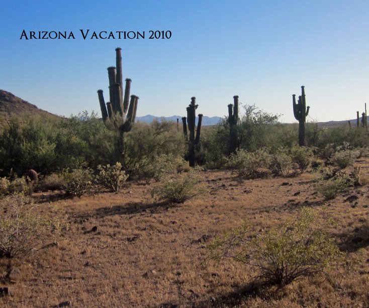 Ver Arizona Vacation 2010 por William Shane Bates