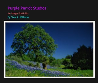Purple Parrot Studios book cover