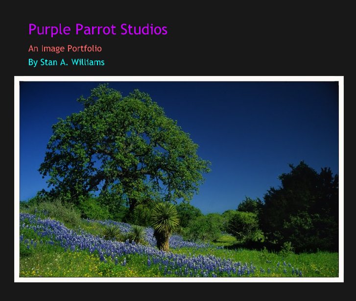 Visualizza Purple Parrot Studios di Stan A. Williams