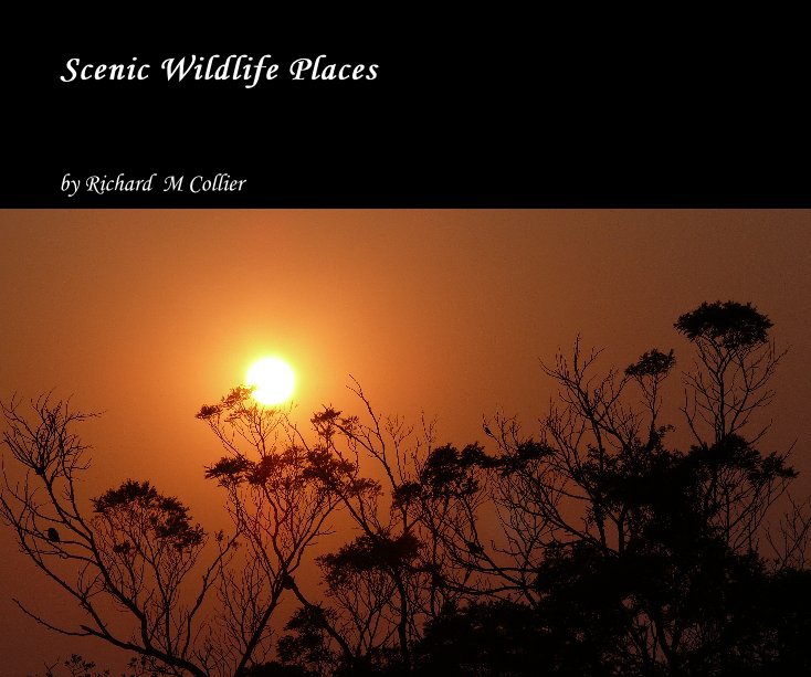 View Scenic Wildlife Places by Richard M Collier