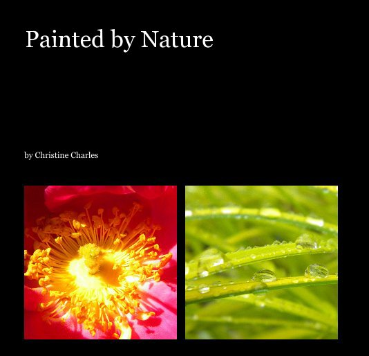 View Painted by Nature by Christine Charles