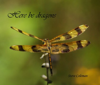 Here be dragons book cover