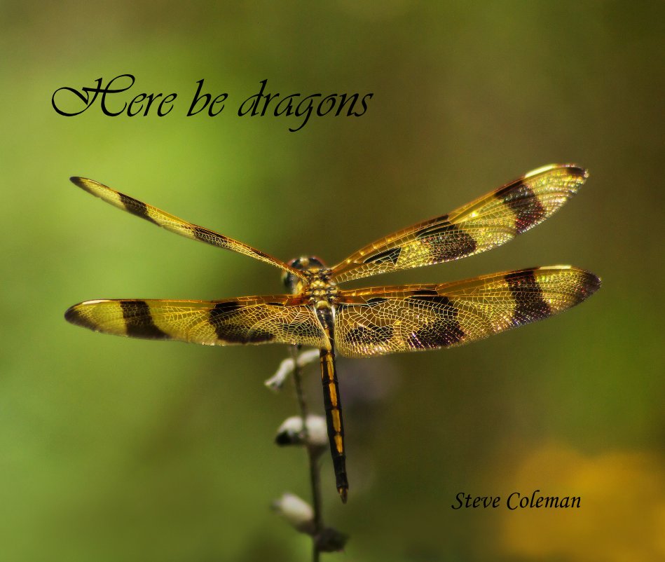 Visualizza Here be dragons di Steve Coleman