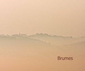 Brumes book cover