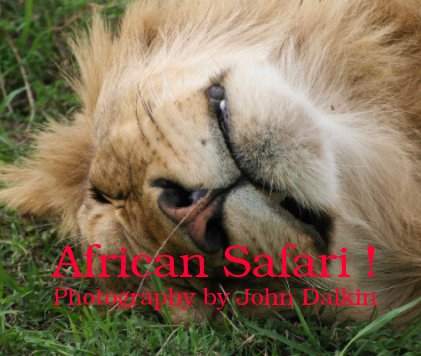 African Safari ! book cover