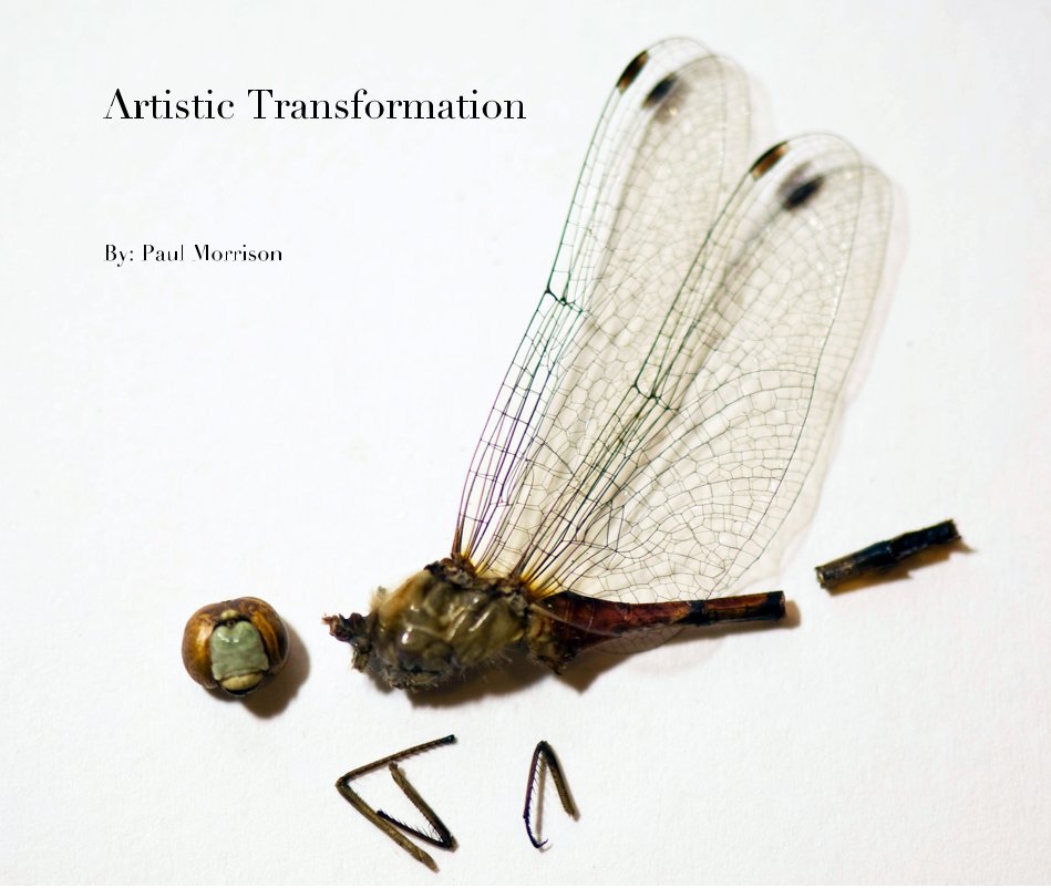 Ver Artistic Transformation por By: Paul Morrison