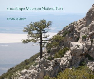 Guadalupe Mountain National Park book cover