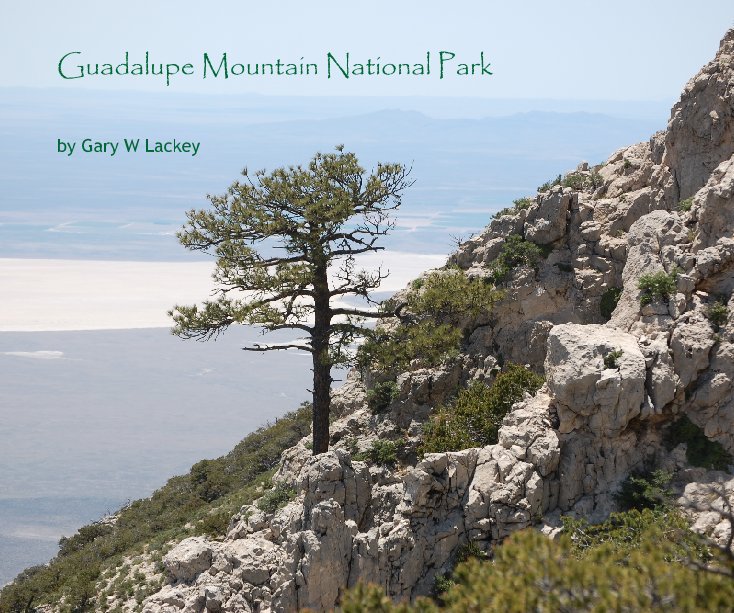 View Guadalupe Mountain National Park by Gary W Lackey