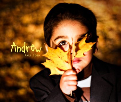 Andrew FALL 2009 book cover