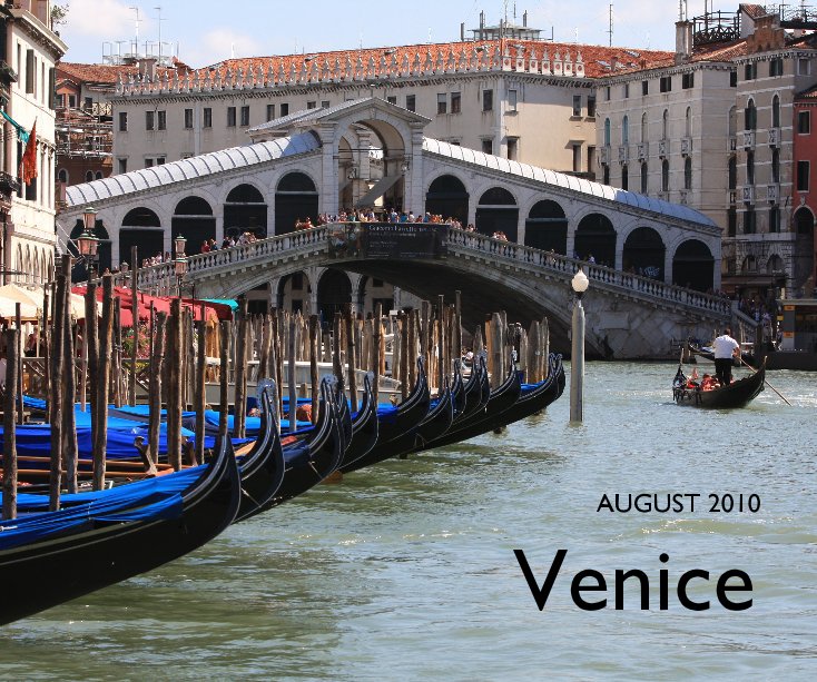 Visualizza 2010 Venice di simon milner