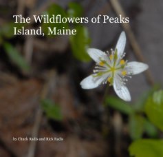 The Wildflowers of Peaks Island, Maine book cover