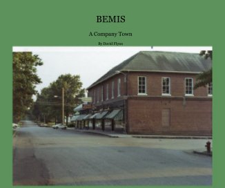 BEMIS book cover