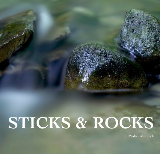 View STICKS & ROCKS by Walter Murdock