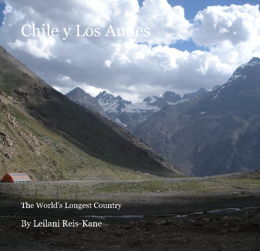 View Chile y Los Andes by Leilani Reis-Kane