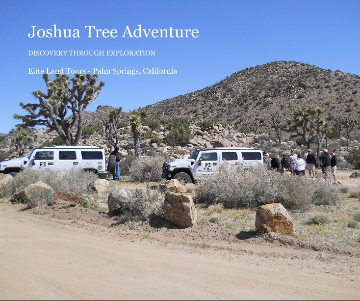 Visualizza Joshua Tree Adventure di Elite Land Tours - Palm Springs, California