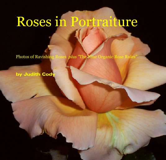 View Roses in Portraiture by Judith Cody