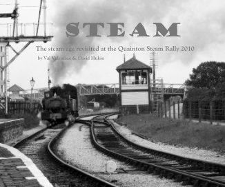 steam book cover