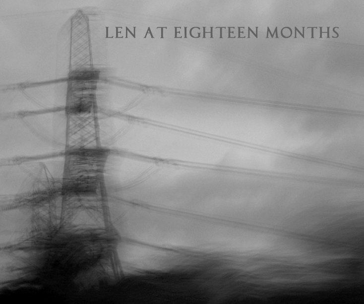 View Len at Eighteen Months by Sheppard Keller