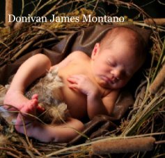 Donivan James Montano book cover
