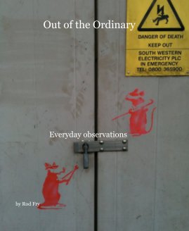 Out of the Ordinary book cover