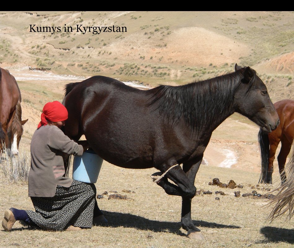 View Kumys in Kyrgyzstan by Norma Barne
