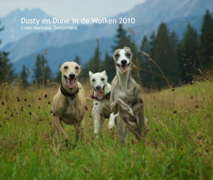 Dusty en Dune in de Wolken 2010 Crans-Montana, Zwitserland book cover