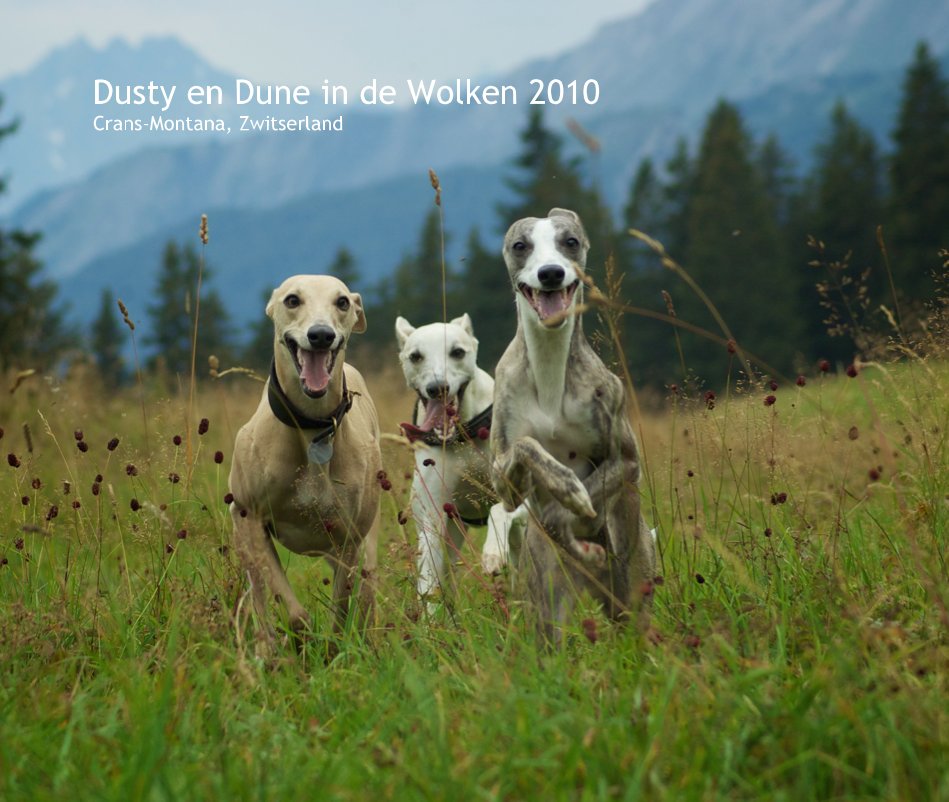Ver Dusty en Dune in de Wolken 2010 Crans-Montana, Zwitserland por MarcGemis