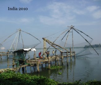 India 2010 book cover