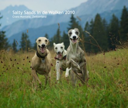 Salty Sands in de Wolken 2010 Crans-Montana, Zwitserland book cover