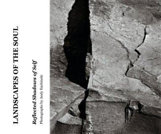 LANDSCAPES OF THE SOUL book cover