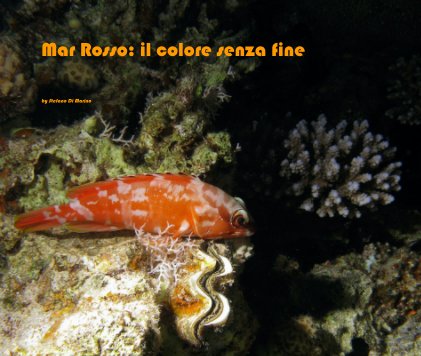 Mar Rosso: il colore senza fine book cover