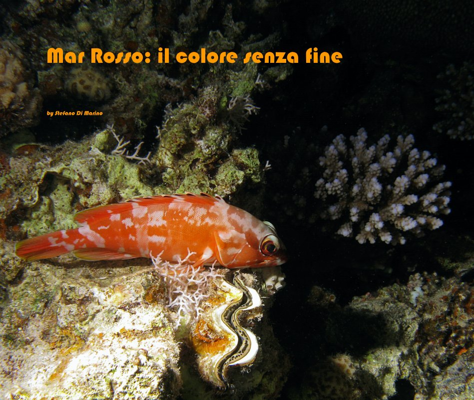 Ver Mar Rosso: il colore senza fine por Stefano Di Marino