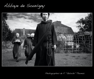 Abbaye de Souvigny book cover