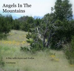 Angels In The Mountains book cover