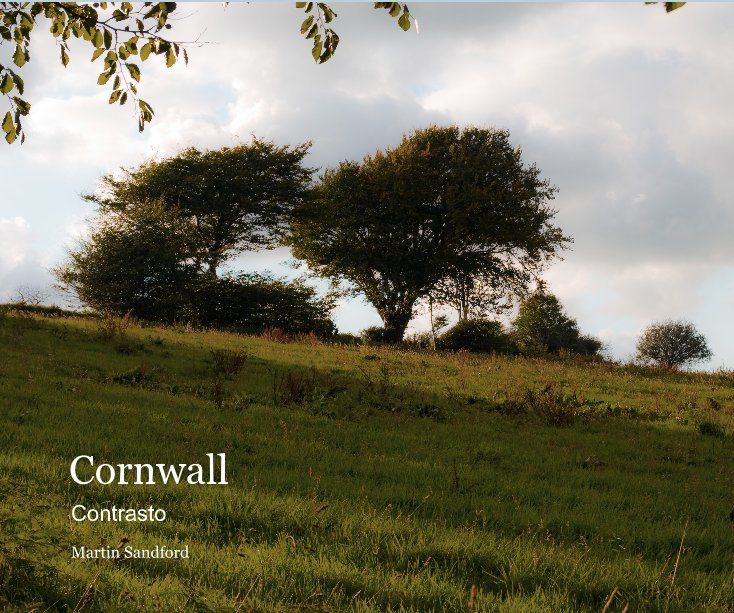 View Cornwall by Martin Sandford