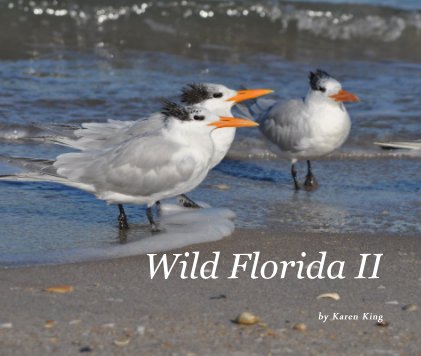 Wild Florida II book cover