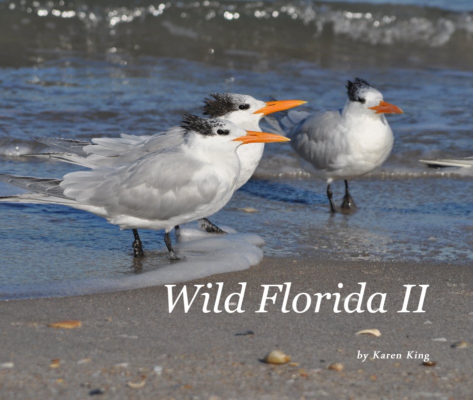 View Wild Florida II by Karen King