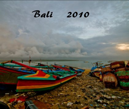 Bali  2010 book cover