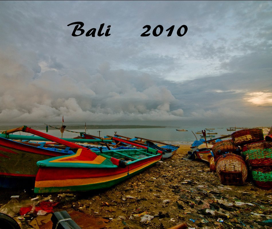 View Bali  2010 by Susan MILLS