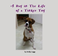 A Day in The Life of a Tinker Toy book cover
