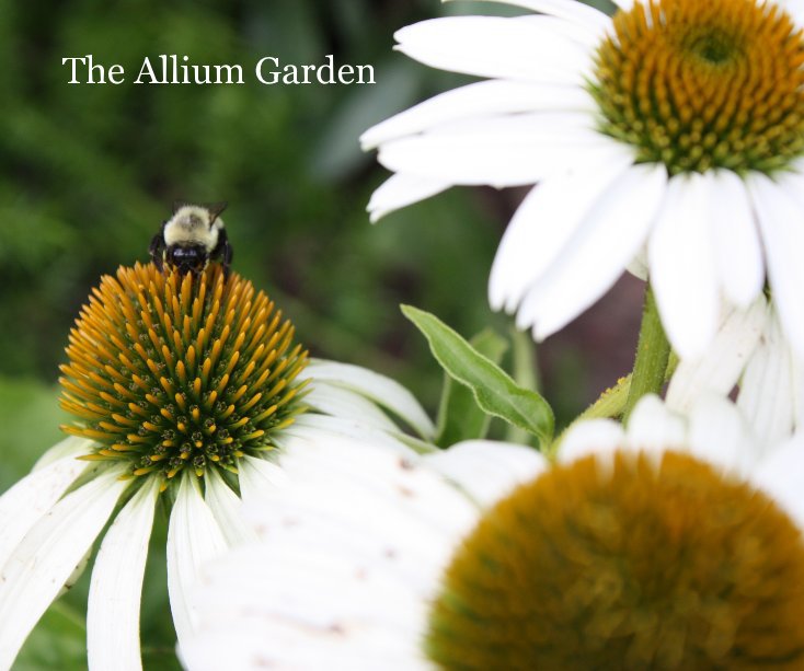 View The Allium Garden by Patrick J. Flynn