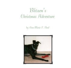 Blitzen's Christmas Adventure book cover