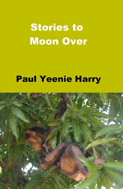 Visualizza Stories to Moon Over di Paul Yeenie Harry