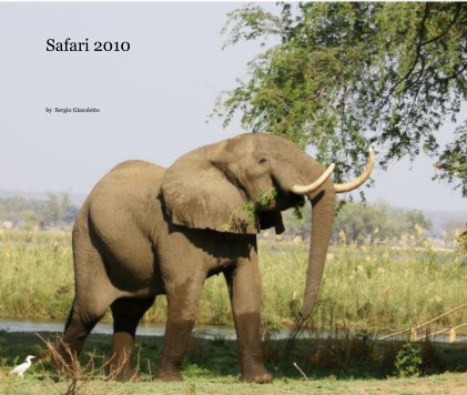 Safari 2010 book cover