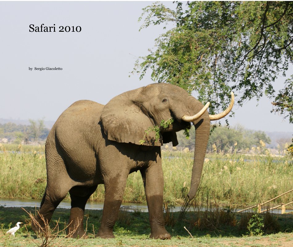 Ver Safari 2010 por Sergio Giacoletto