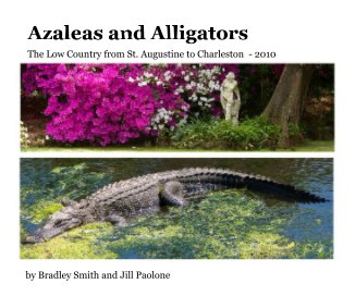 Azaleas and Alligators book cover