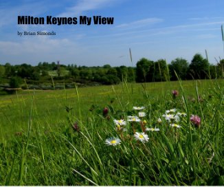 Milton Keynes My View book cover