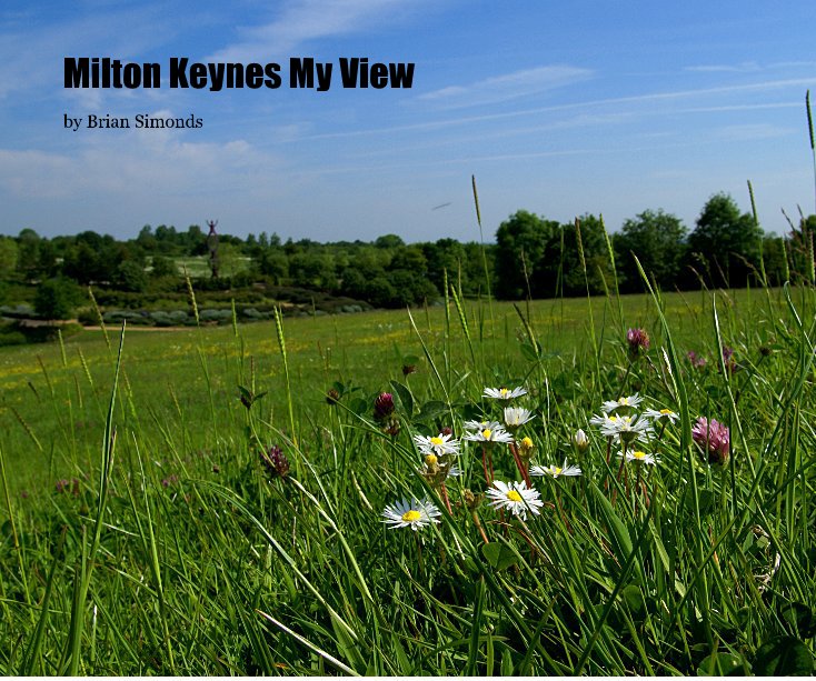 View Milton Keynes My View by by Brian Simonds